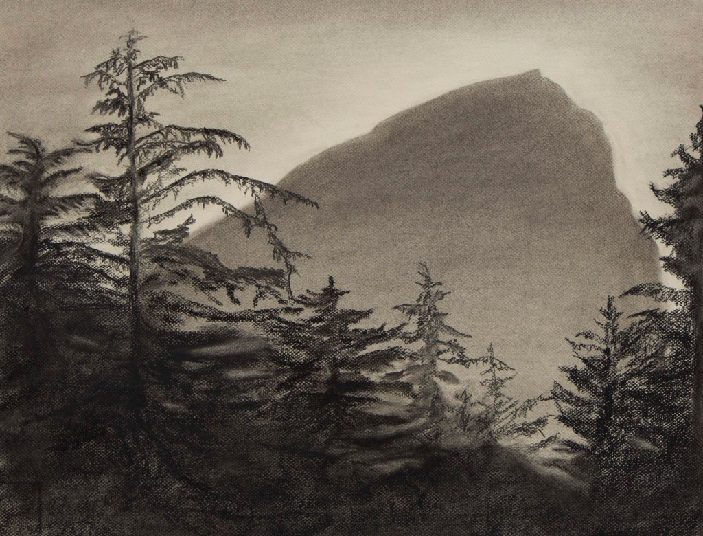View From Studio, Charcoal on Canson Mi-Teintes 18" x 24"